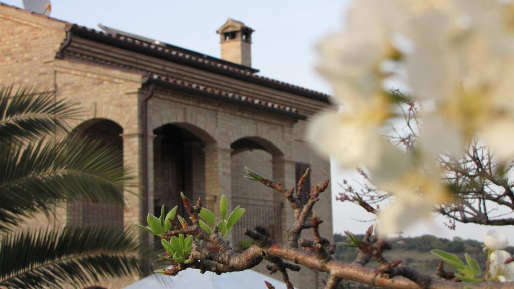 Bed And Breakfast Aratro & Rosmarino ชิวิตาโนวา มาร์เค ภายนอก รูปภาพ