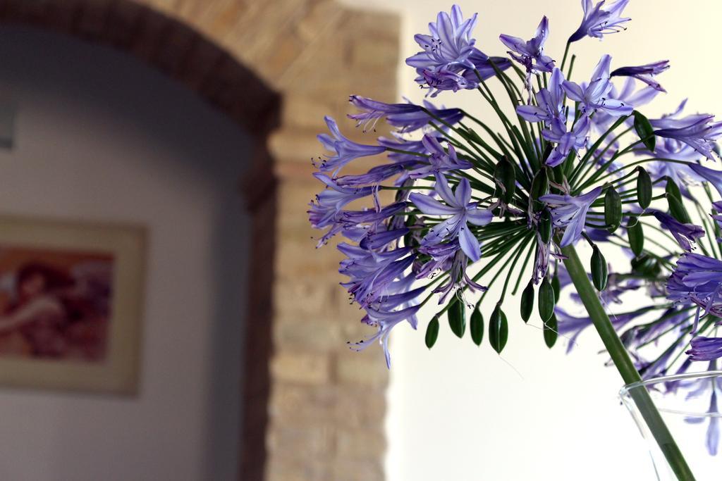 Bed And Breakfast Aratro & Rosmarino ชิวิตาโนวา มาร์เค ภายนอก รูปภาพ