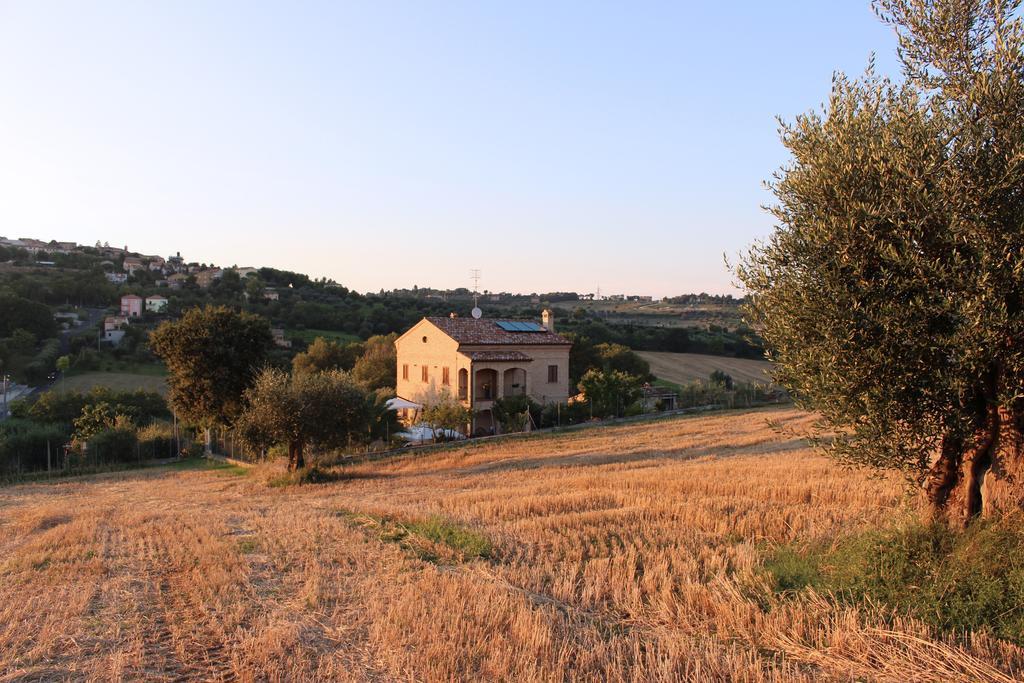 Bed And Breakfast Aratro & Rosmarino ชิวิตาโนวา มาร์เค ภายนอก รูปภาพ