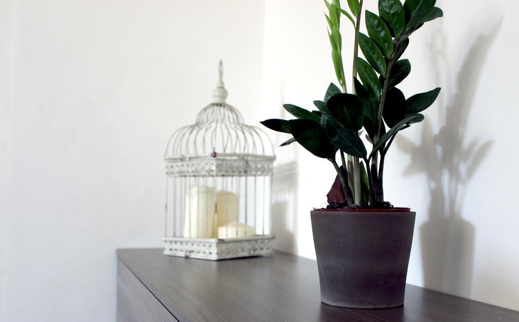 Bed And Breakfast Aratro & Rosmarino ชิวิตาโนวา มาร์เค ภายนอก รูปภาพ