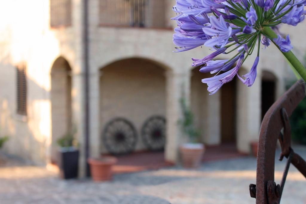 Bed And Breakfast Aratro & Rosmarino ชิวิตาโนวา มาร์เค ภายนอก รูปภาพ