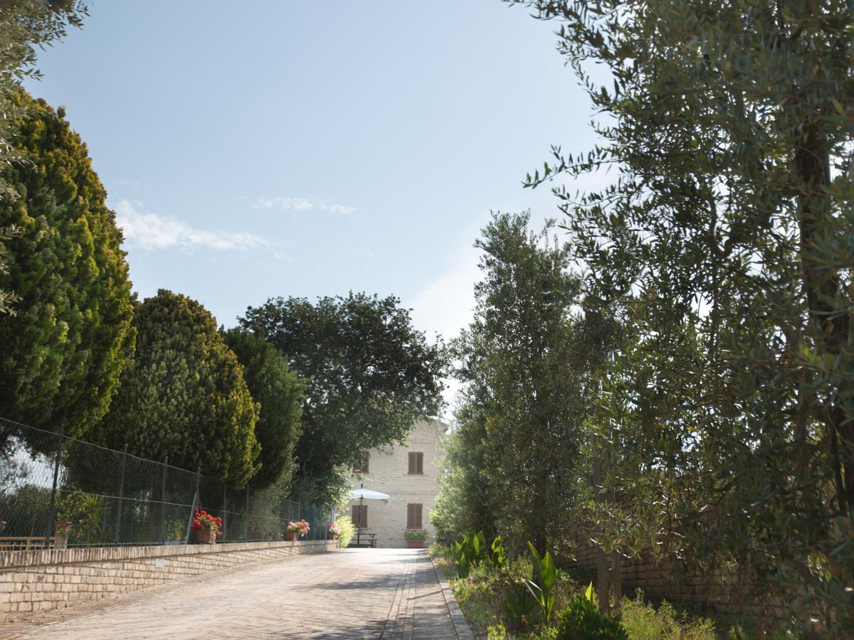 Bed And Breakfast Aratro & Rosmarino ชิวิตาโนวา มาร์เค ภายนอก รูปภาพ